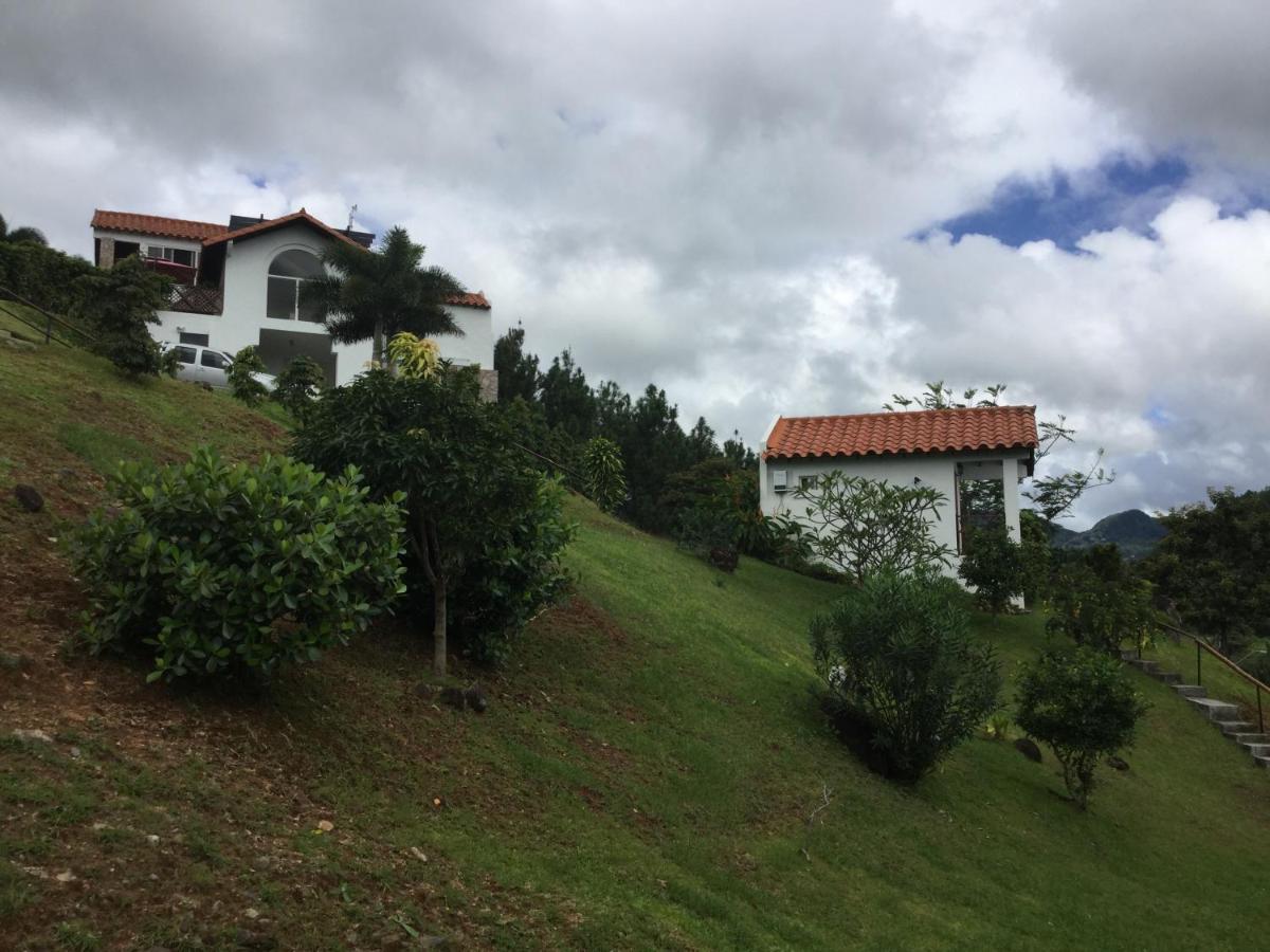 Hawk'S Nest Bed & Breakfast La Laguna de San Carlos Dış mekan fotoğraf